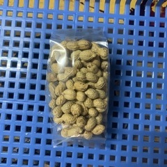 地もぐり豆(落花生)