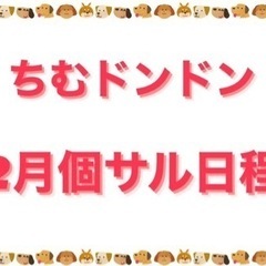 2月ちむドンドン個サル日程