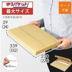 残りわずか！【クリックポスト・ゆうパケット】厚さ3cm・テープレ...