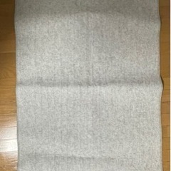 中古　一畳用ホットカーペットの画像
