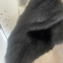 毛皮のコート新品の画像