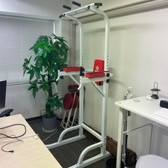 懸垂 ぶら下がり健康機 チンニング ディップス 腹筋マシン　トレ...