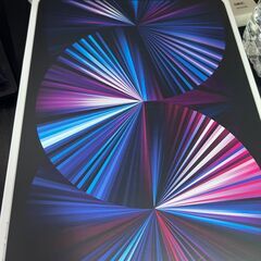 (極美品)ipad pro 11(第3世代)cellular 128gb-シルバー