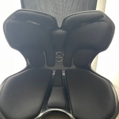 Style Athlete 体幹ポジショニングギア