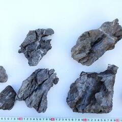 ADA龍王石セットの画像