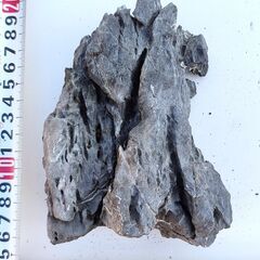 ADA龍王石セットの画像