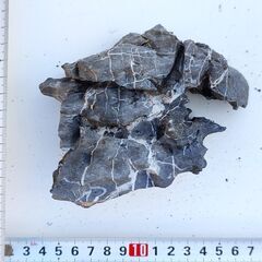 ADA龍王石セットの画像