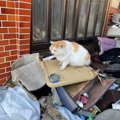 【救済依頼取り消します】親族の方のご厚意で費用負担いただき、みな...