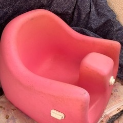 カリブ　ピンクの画像