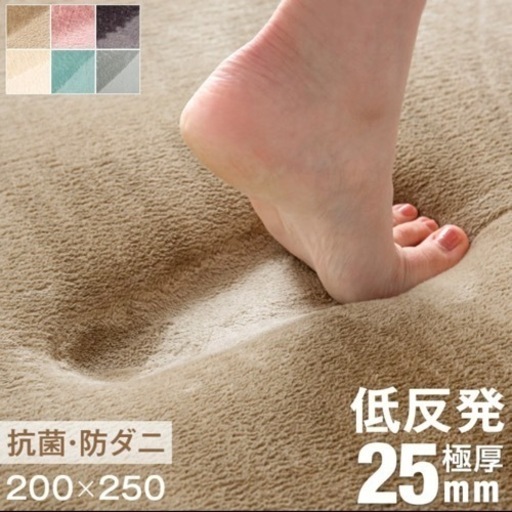 ラグ 低反発 厚手 極厚25mm 200×250 低反発　タンスのゲン