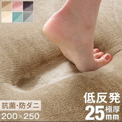 ラグ 低反発 厚手 極厚25mm 200×250 低反発　タンスのゲン