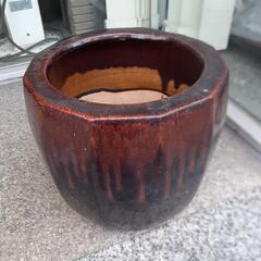 【引取先決まりました！】 睡蓮鉢 火鉢 メダカ ビオトープ めだ...