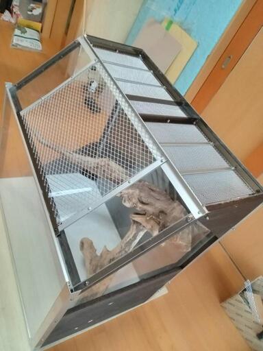 爬虫類　大型アクリルケージ　防水　