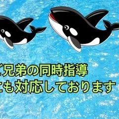 水泳の家庭教師　大和高田市の画像