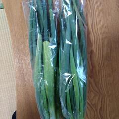N-S 半額 地ねぎ 岡崎産 生野菜