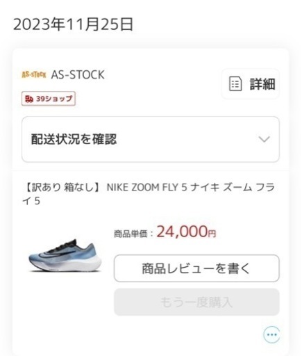 NIKE zoomフライ5