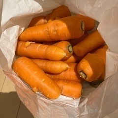 【８名様】＼今期最後／へきなん美人お譲りします。の画像