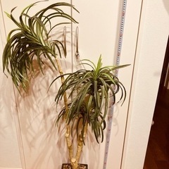 【取引中】人工観葉植物　東京インテリアの画像