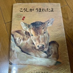 こうしがうまれたよ 海月清則 