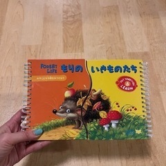 森のいきものたち