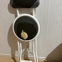 ニトリ 折りたたみチェア の画像