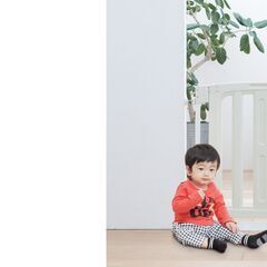 日本育児 セーフティーステップゲート 77-85cm [自動開閉] 5010143001 　ベビーゲートの画像
