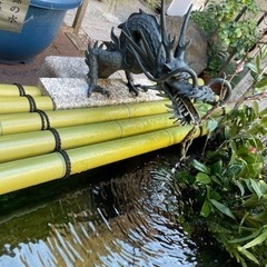 「オンライン限定」占い好きの方、雑談しませんか？ - 横浜市