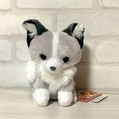 [新品] ちょコンとキツネ ST ぬいぐるみ