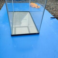 熱帯魚　アクアリウム　KOTOBUKI　コトブキ　水槽　60cm　値引き交渉不可の画像