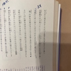 日本詩歌集 中央公論口論社 　4巻のみの画像