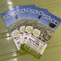 マザー牧場 招待券 4枚セット