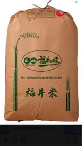 令和5年度 福井県産コシヒカリ30kg  8,500円