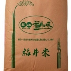 令和5年度 福井県産コシヒカリ30kg  8,500円