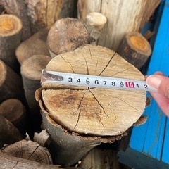 【取引３月まで】原木 全てでこの価格 主に広葉樹 玉切り 薪 薪ストーブにの画像
