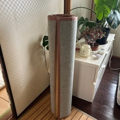 井草マット2枚の画像