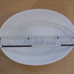 皿_オーバル_汚れありの画像