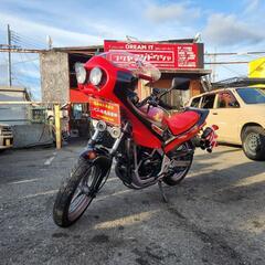 VTZ250 旧車会仕様
