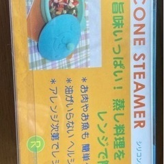 シリコンスチーマーの画像