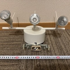 スポットライト