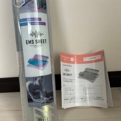 ルルドスタイル EMSシート