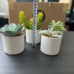 多肉植物　人工緑　人工観葉植の画像