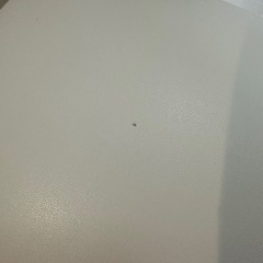 ニトリ　ハイチェア　シャムの画像