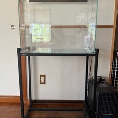 特価　ADA 水槽