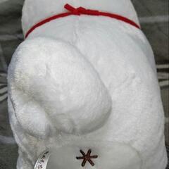 お譲りします(⁠ ⁠ꈍ⁠ᴗ⁠ꈍ⁠)の画像