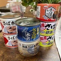 さばの缶詰