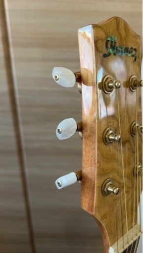 Ibanez EW20L ASENT1201