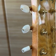 Ibanez EW20L ASENT1201の画像