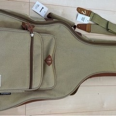 Ibanez EW20L ASENT1201の画像