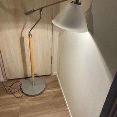 koizumiドーム型フロアスタンドライトの画像