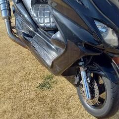 マジェスティC250実働自賠責R7年12月の画像